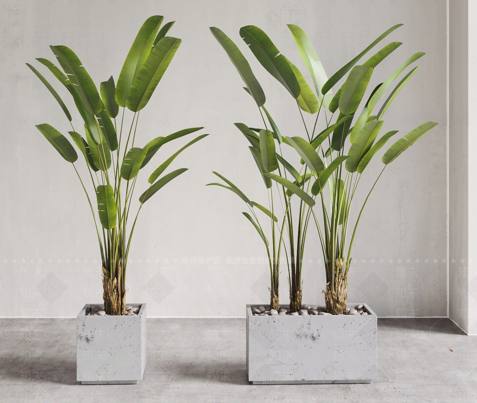 现代芭蕉盆栽3D模型下载【ID:387867812】