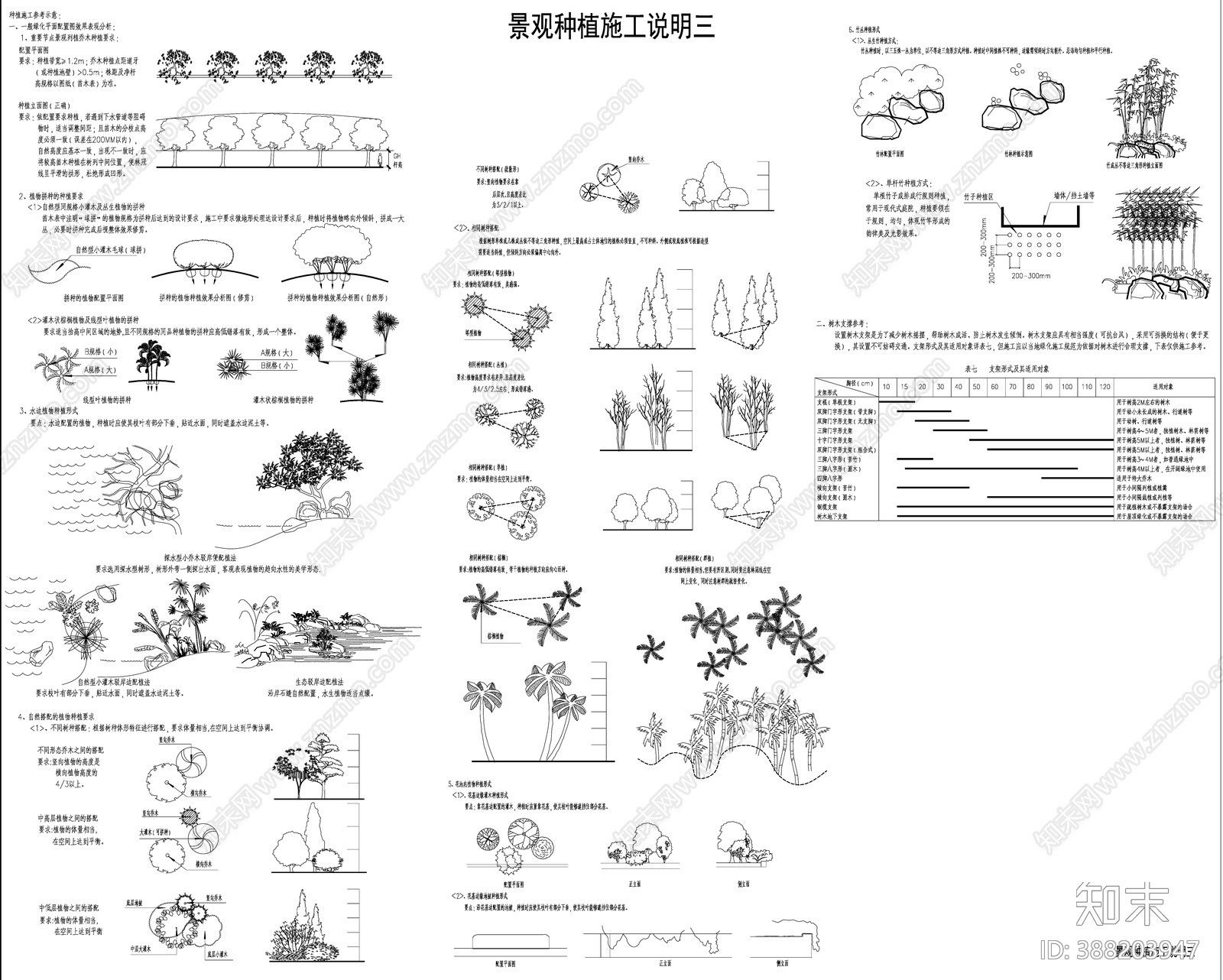 植物种植说明施工图下载【ID:388203947】