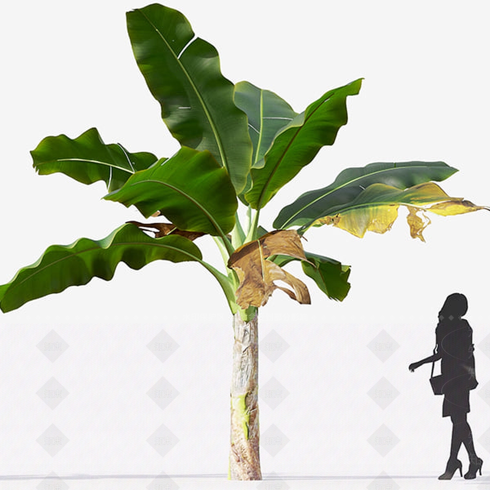 现代树木SU模型下载【ID:188201693】