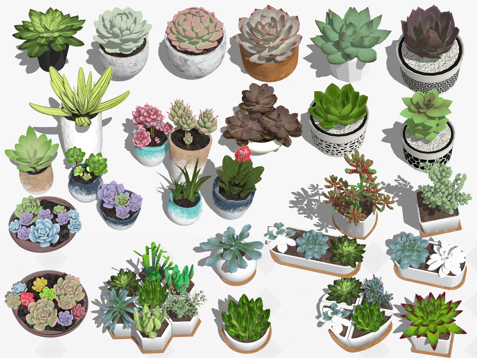 现代多肉植物盆栽组合SU模型下载【ID:188216899】