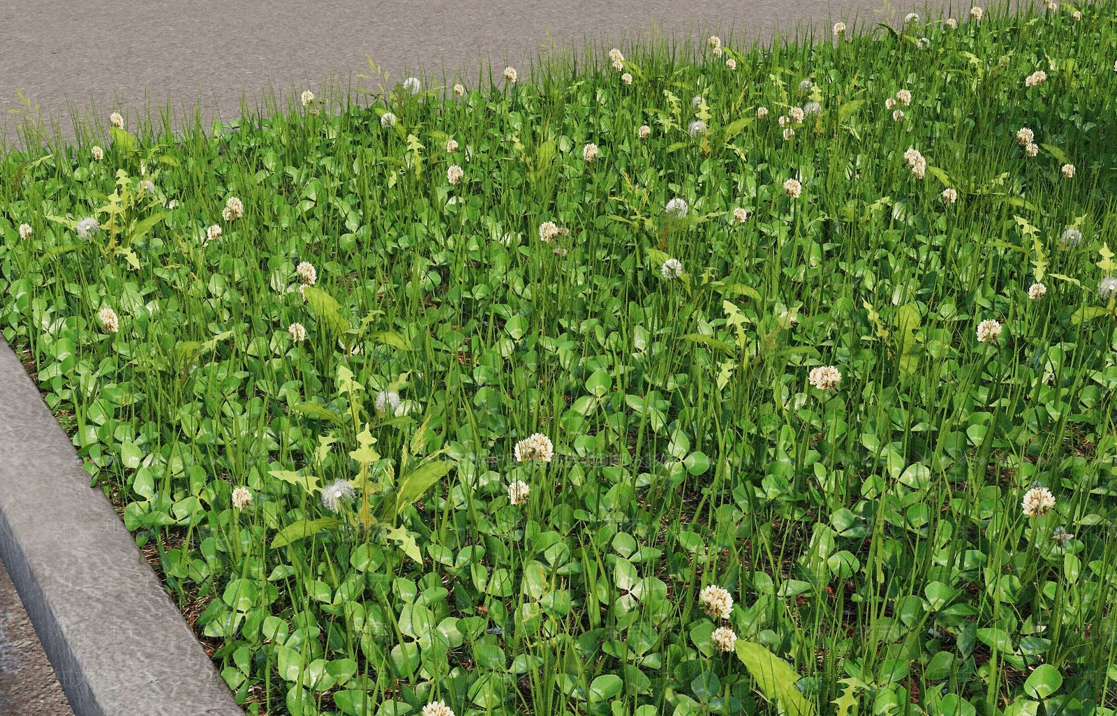 现代户外绿植花坛3D模型下载【ID:688368712】