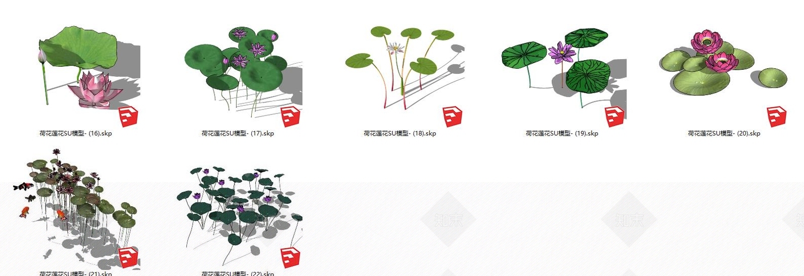 现代荷花SU模型下载【ID:188694582】