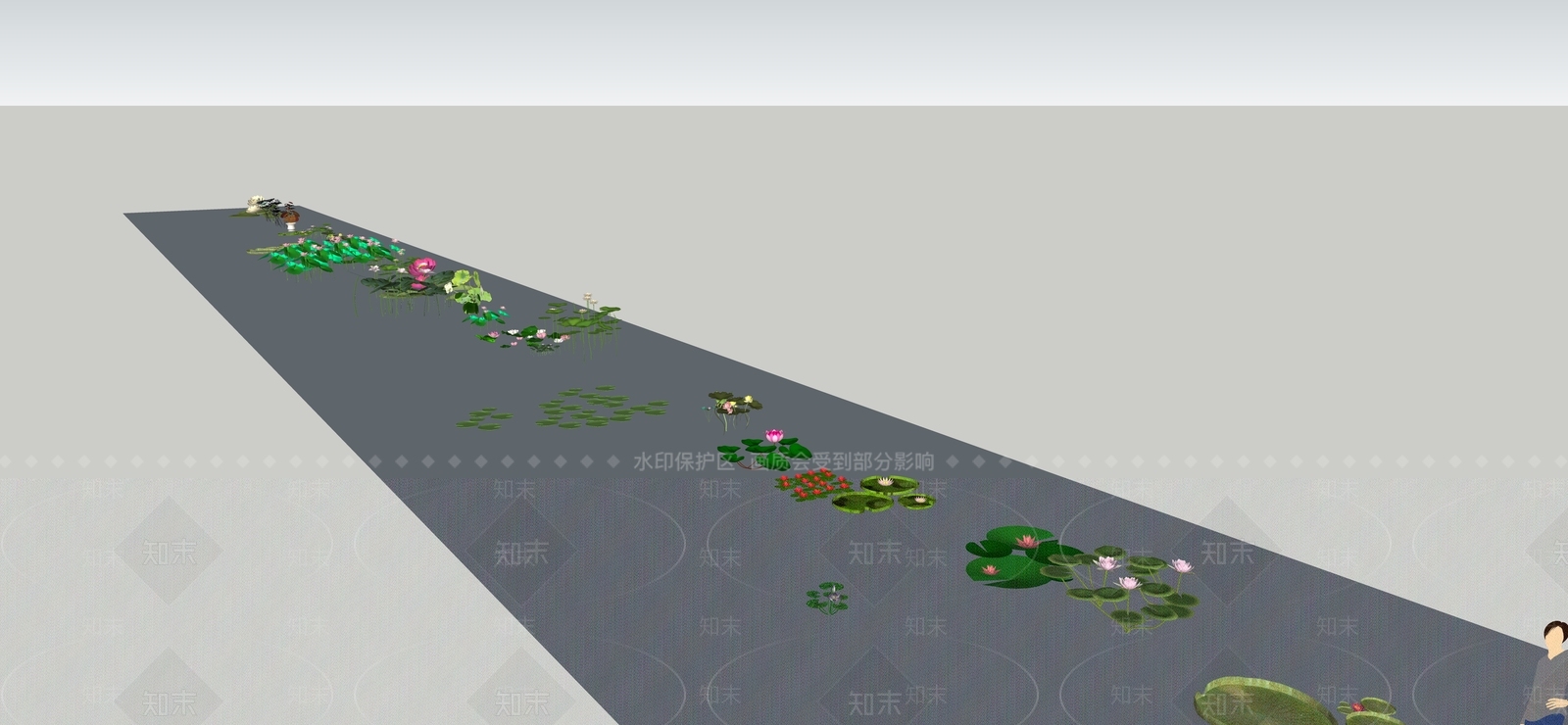现代荷花SU模型下载【ID:188616547】