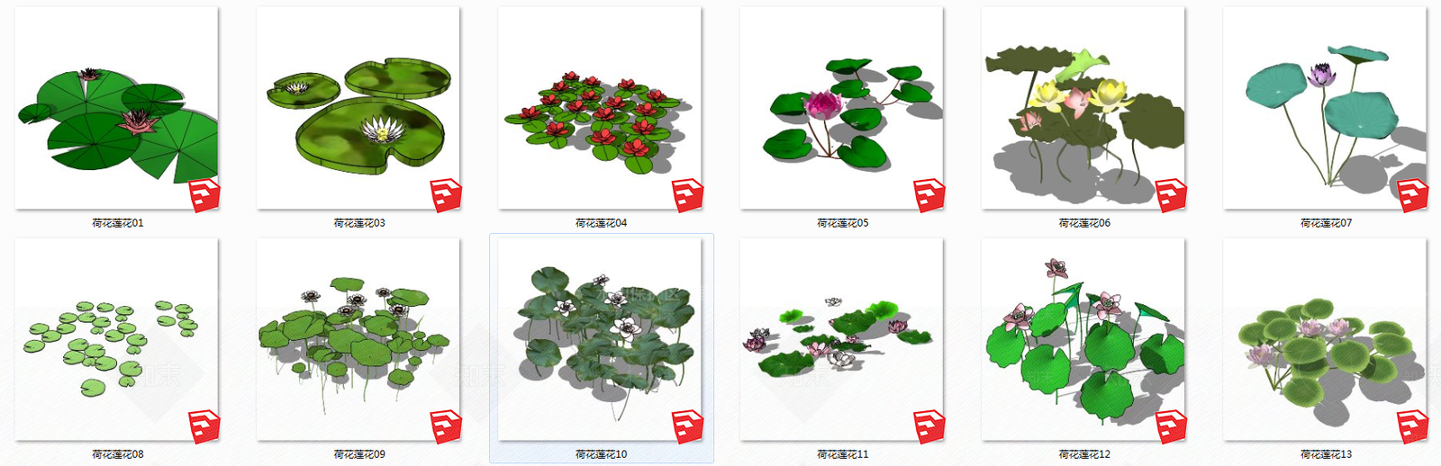现代荷花合集SU模型下载【ID:188726572】