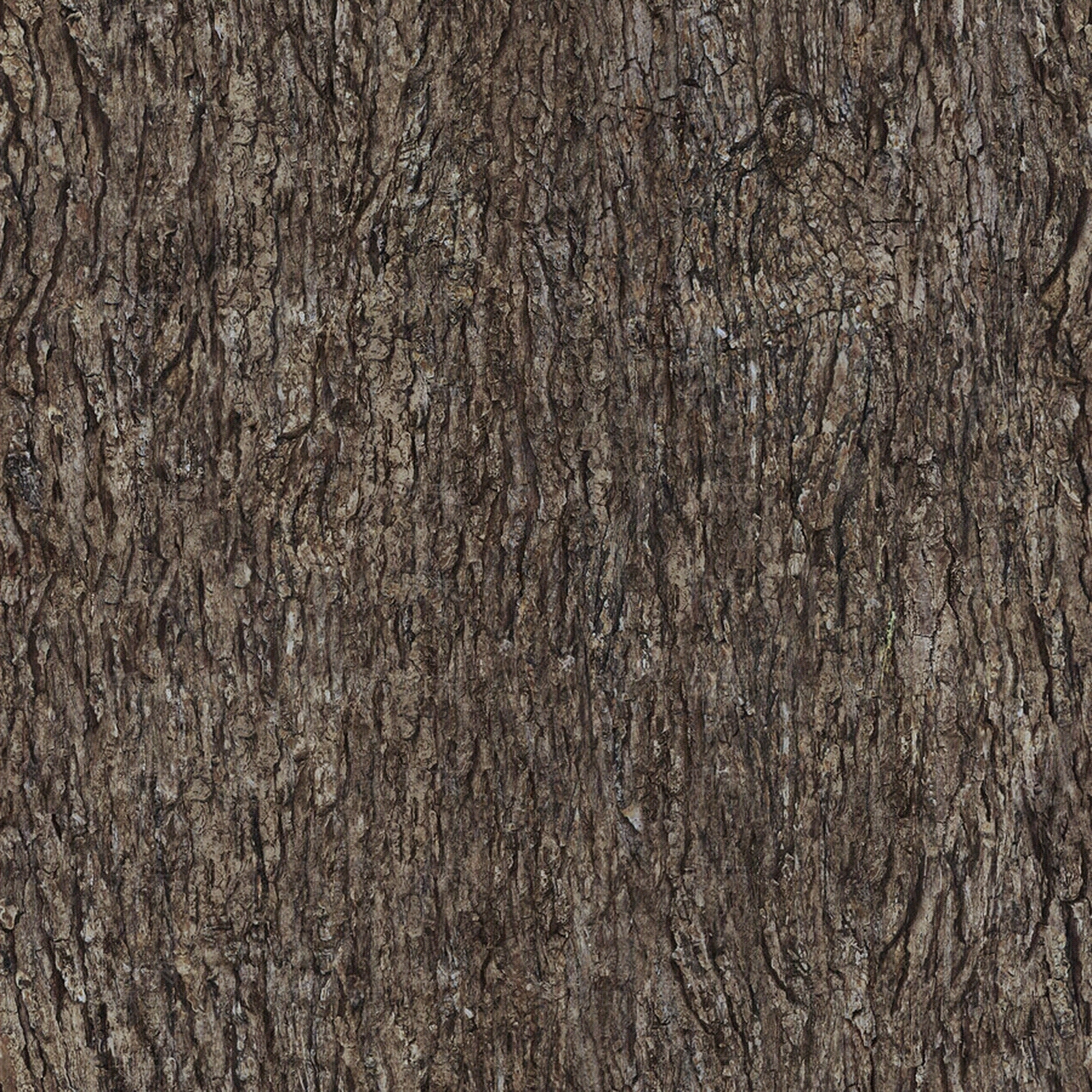 树皮贴图贴图下载【ID:288938473】