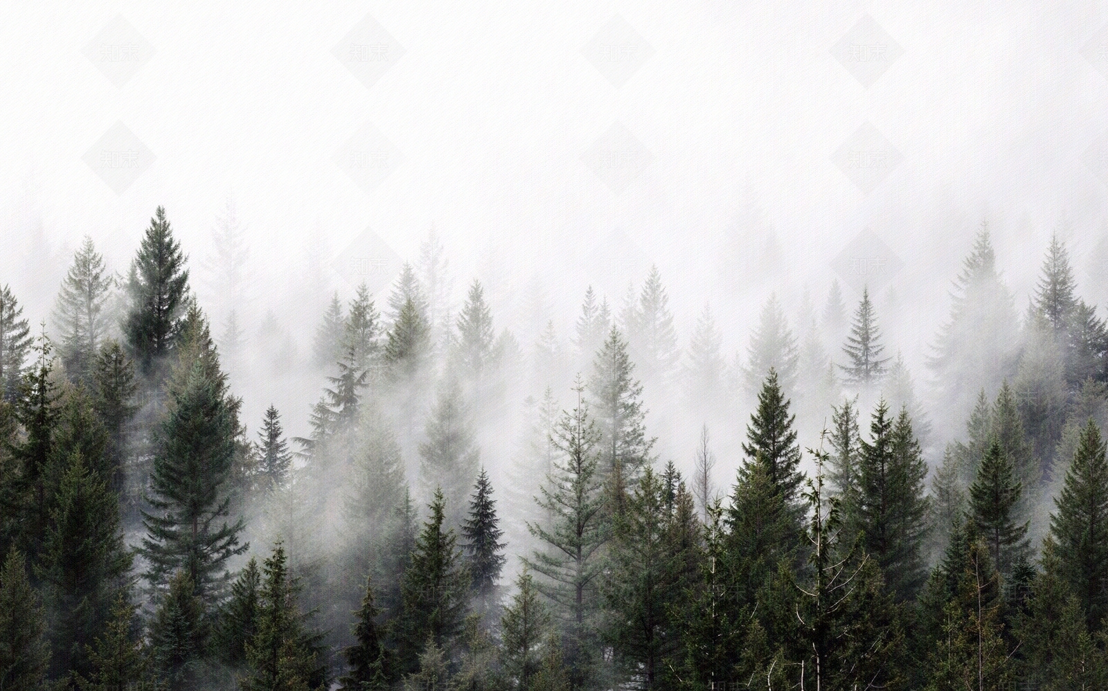 白天户外雪景贴图下载【ID:1195346131】