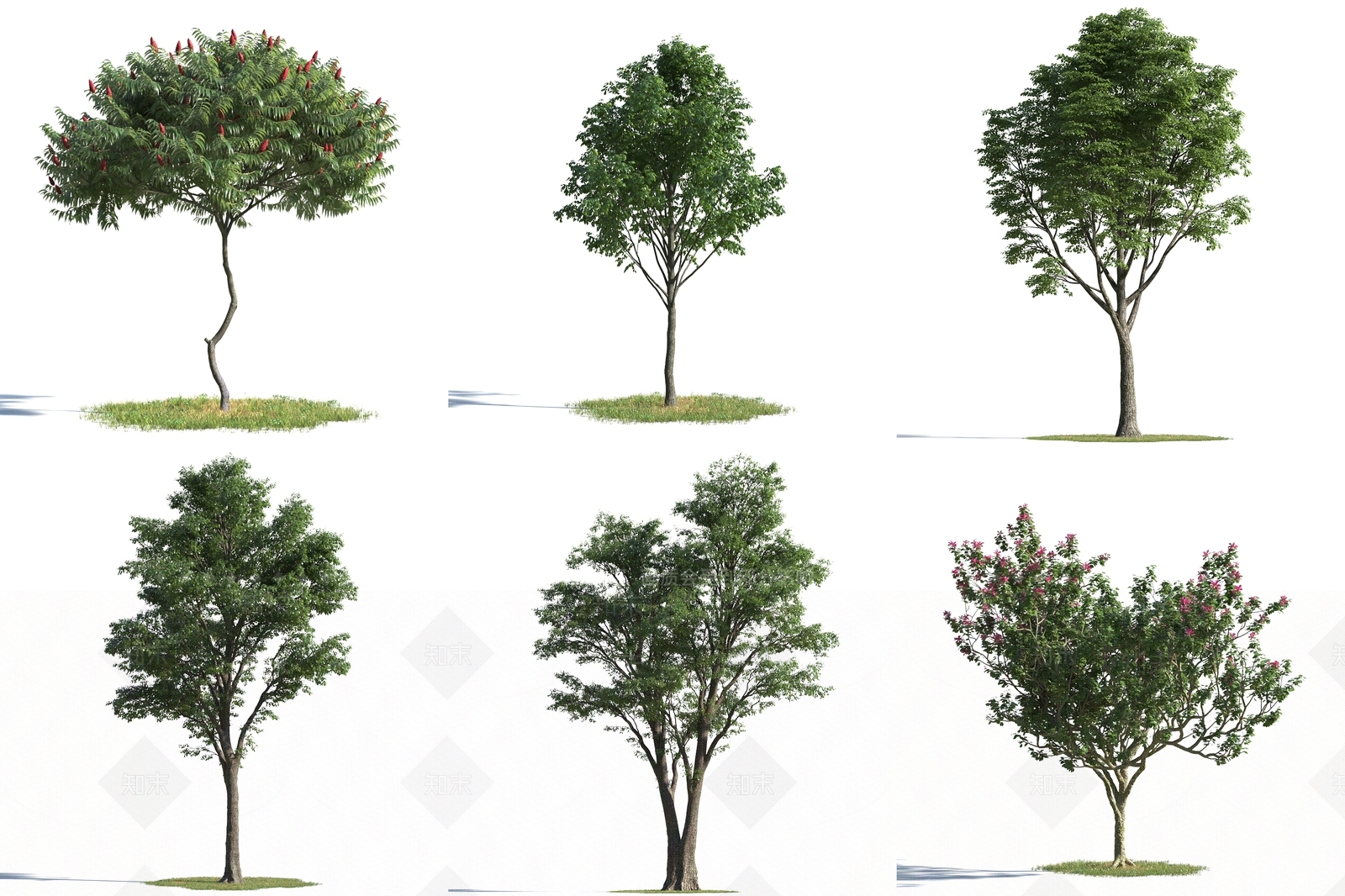 现代树木3D模型下载【ID:389629604】