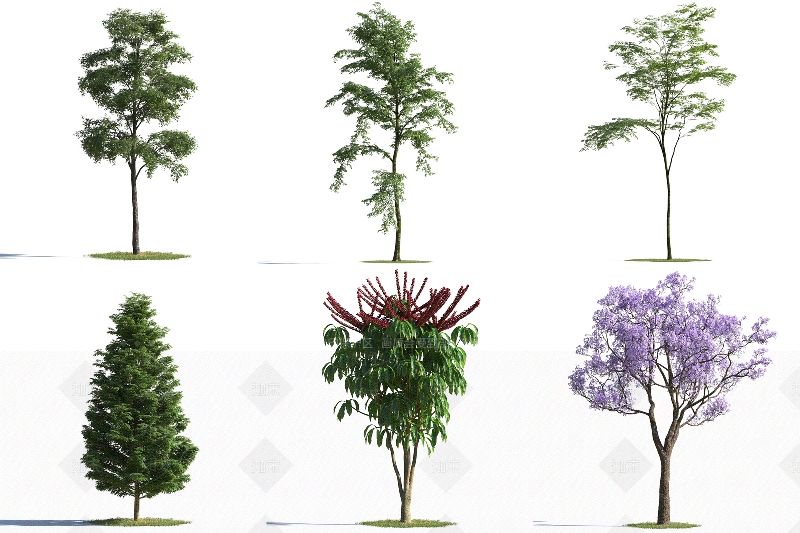 现代树木3D模型下载【ID:389630672】