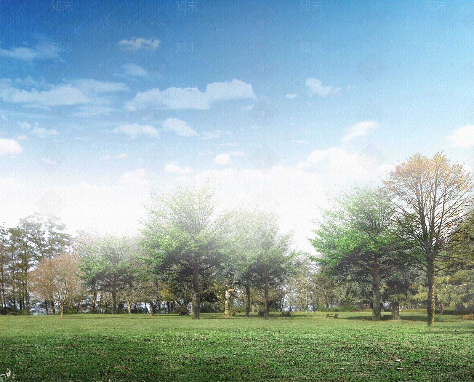 小区公园草地草皮外景贴图下载【ID:590136630】