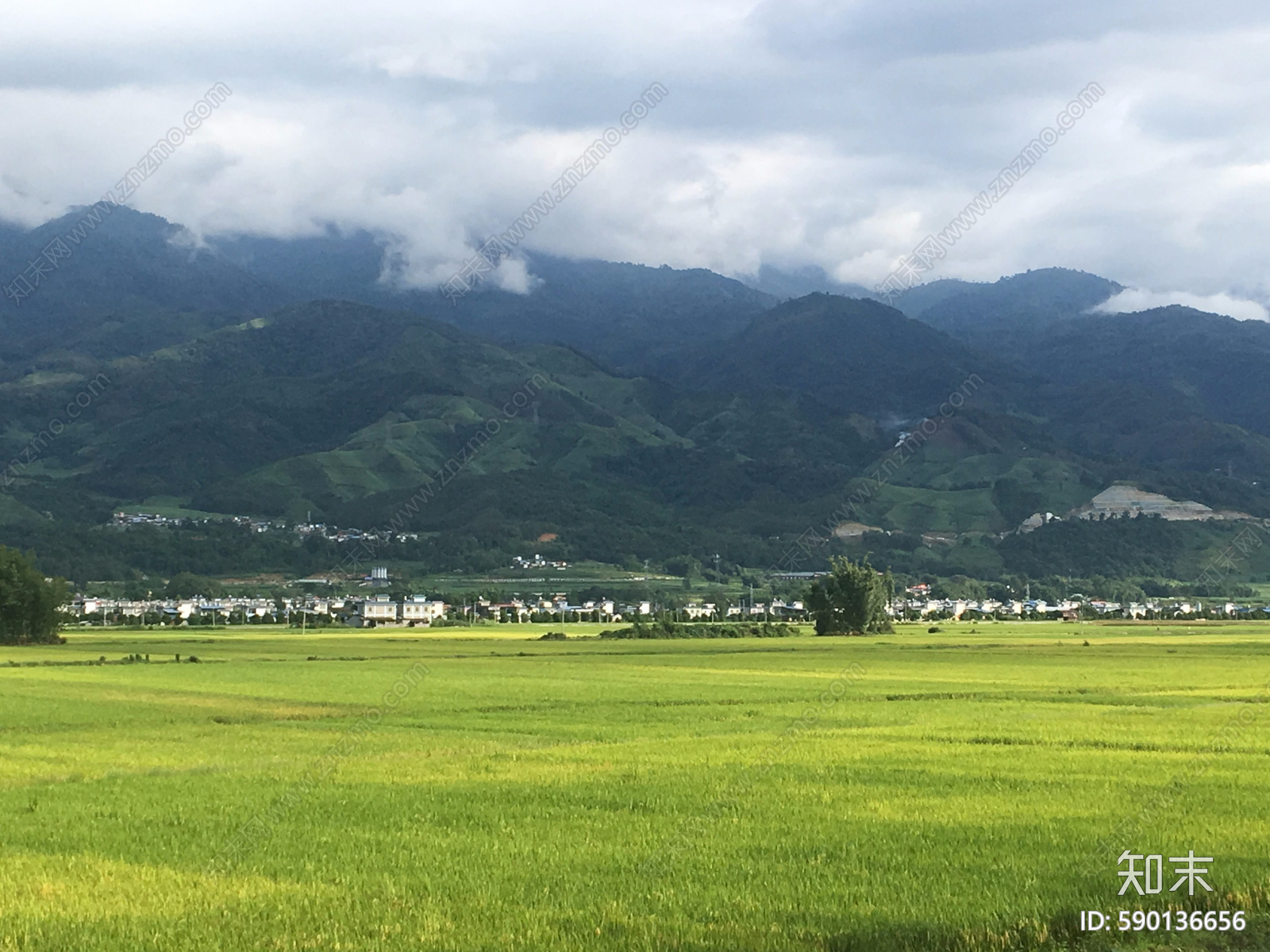 田野户外风景贴图下载【ID:590136656】