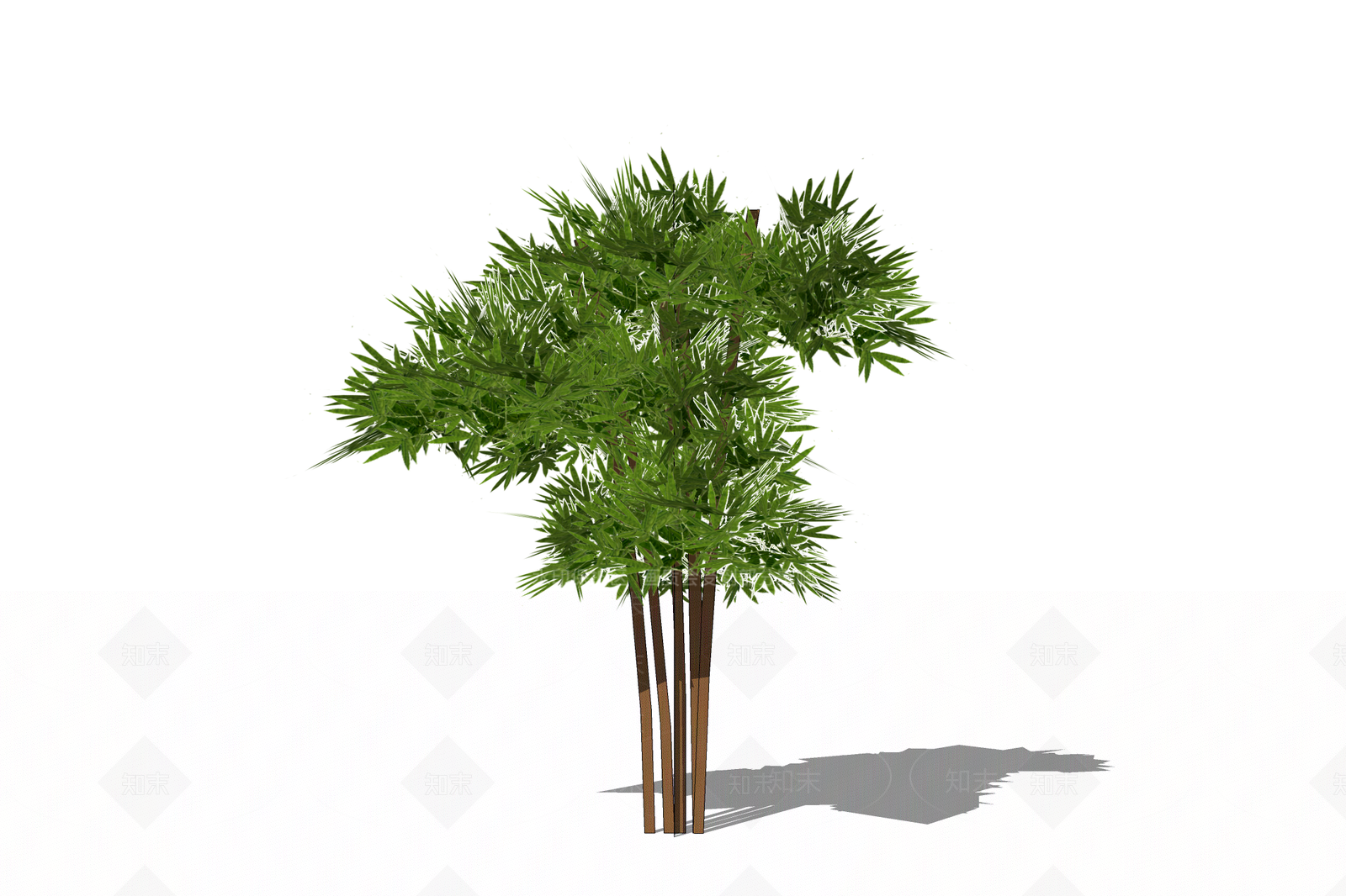 现代竹子SU模型下载【ID:191130749】