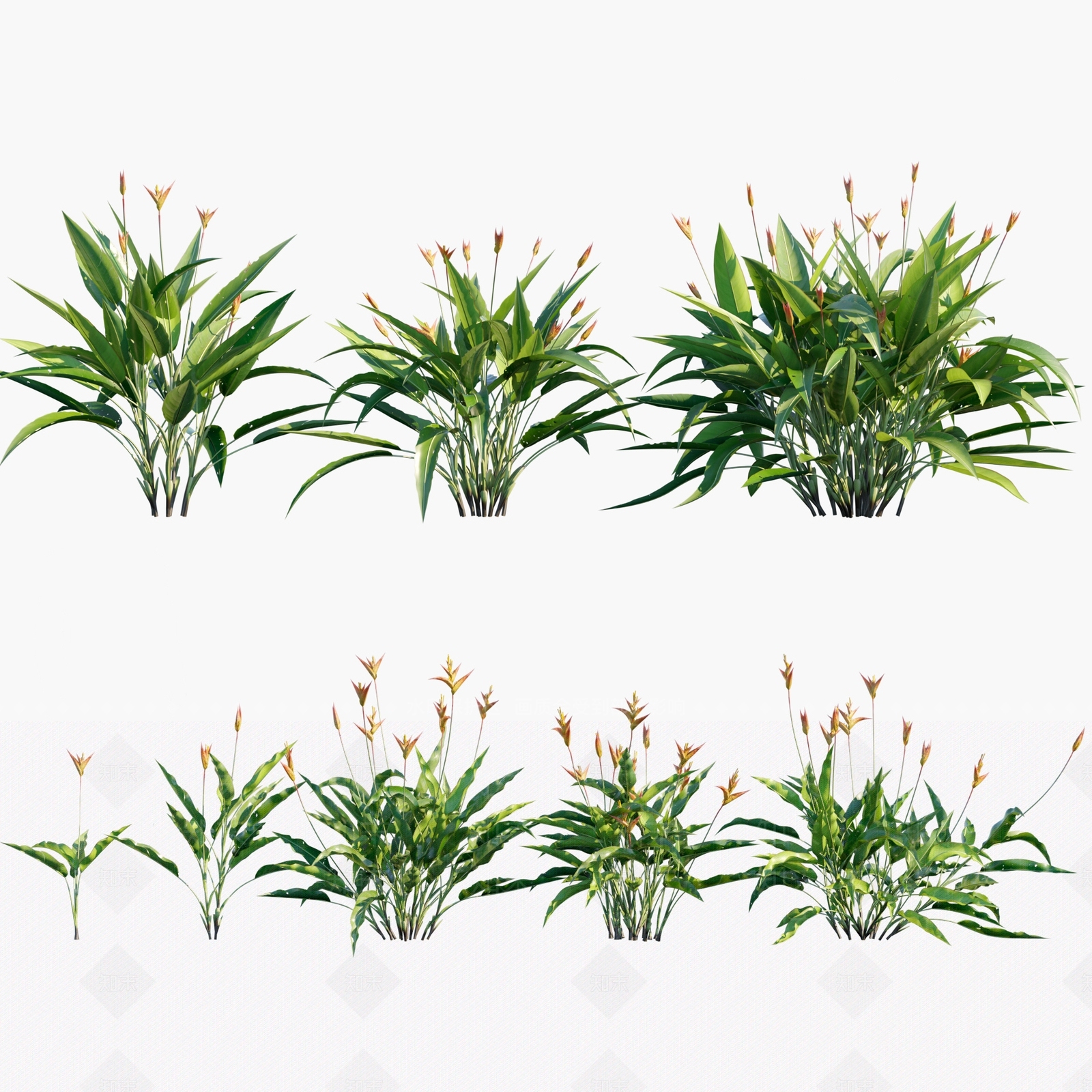 现代花草花卉3D模型下载【ID:391752569】