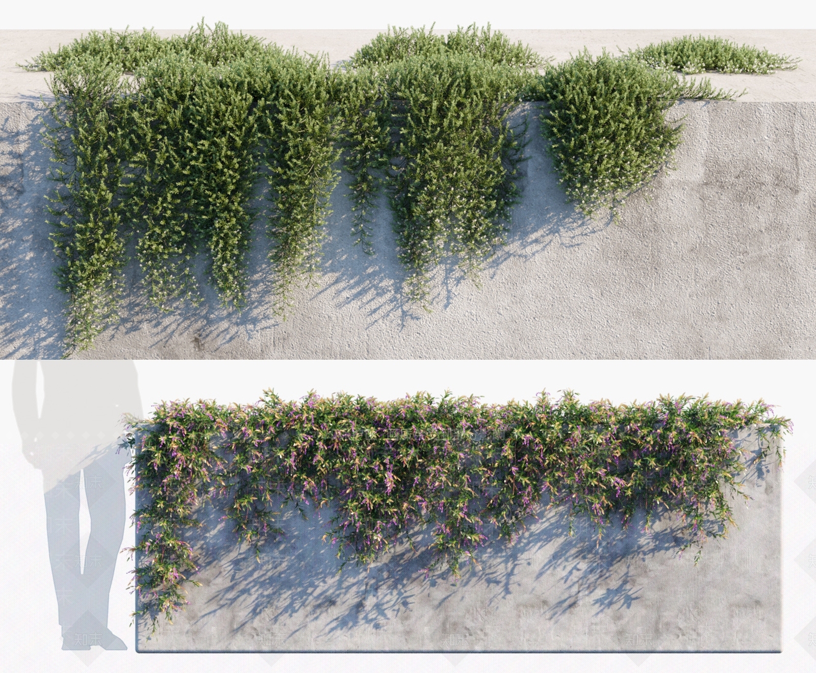 现代绿植墙3D模型下载【ID:491755295】