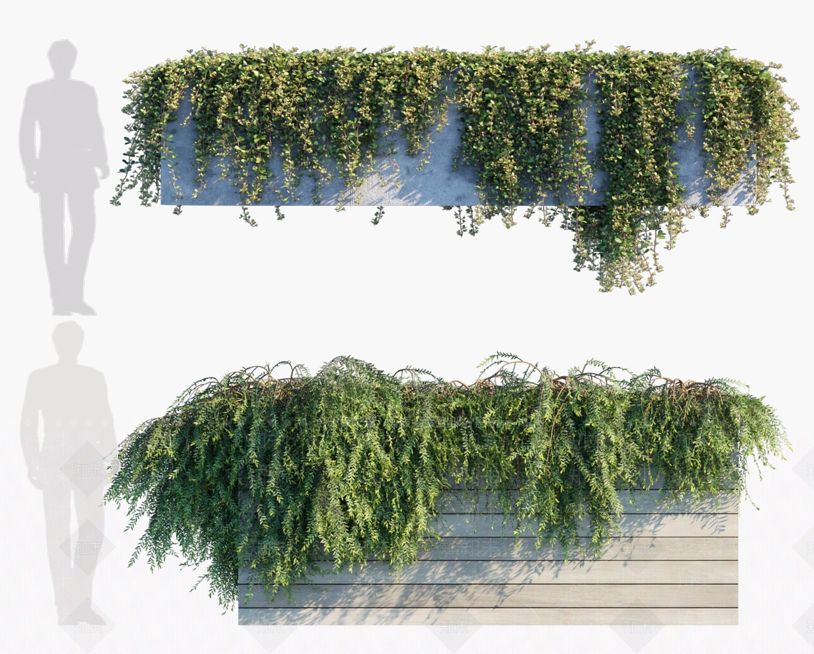 现代绿植墙3D模型下载【ID:491759254】