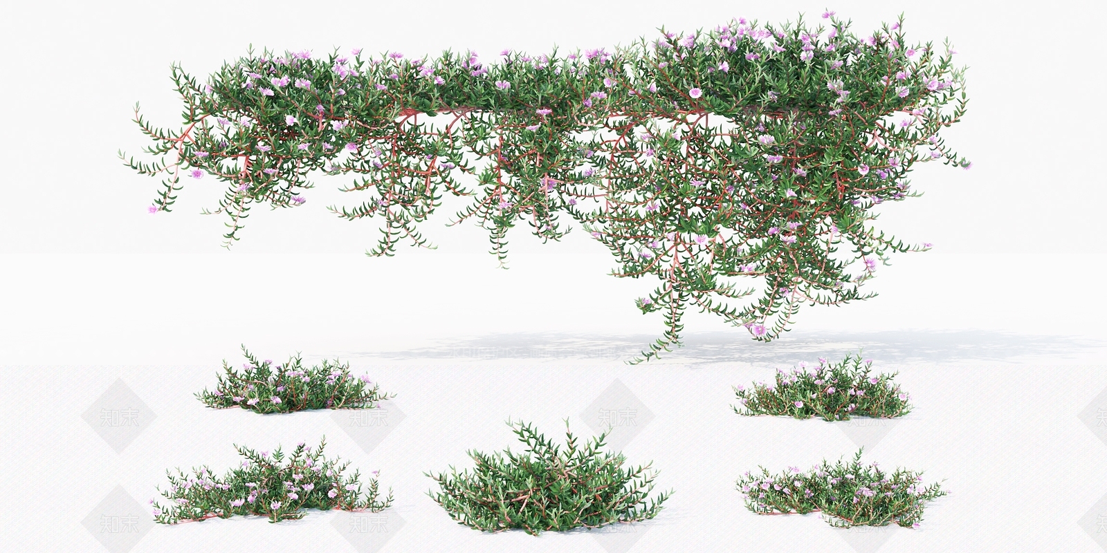 花草花卉3D模型下载【ID:391998519】