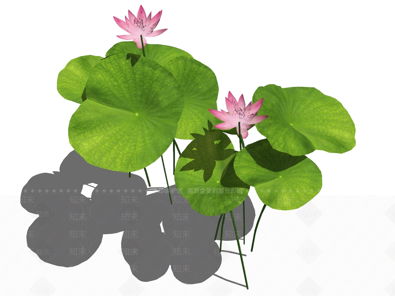 现代荷花SU模型下载【ID:192570528】