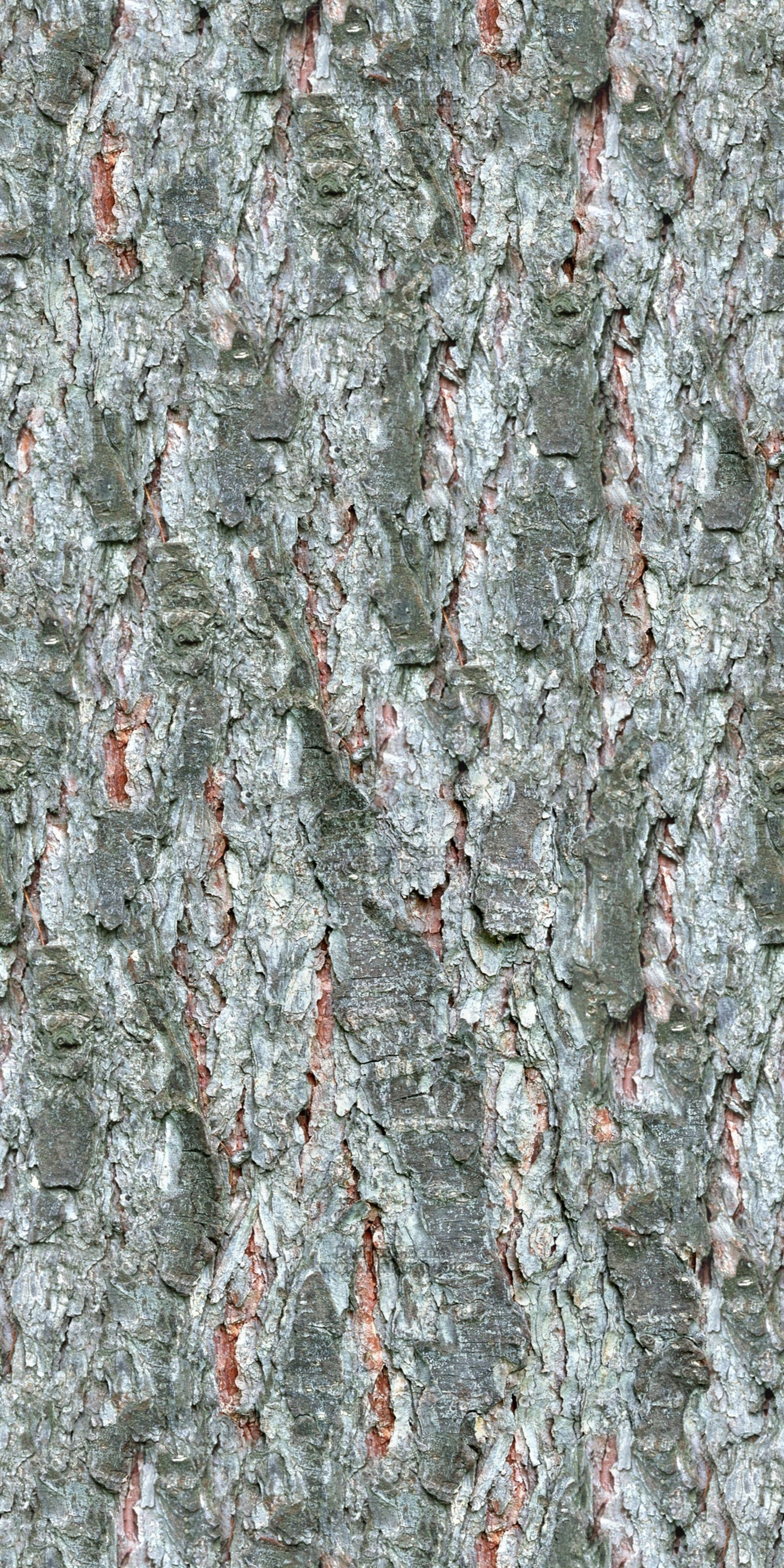 无缝贴图下载【ID:292721414】