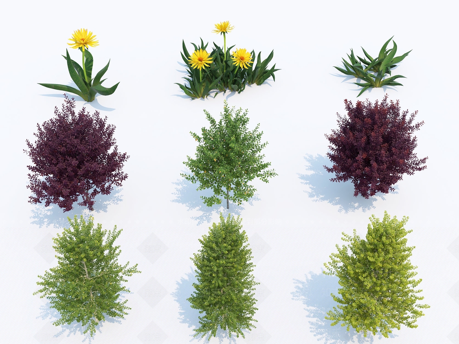 花草3D模型下载【ID:392782578】