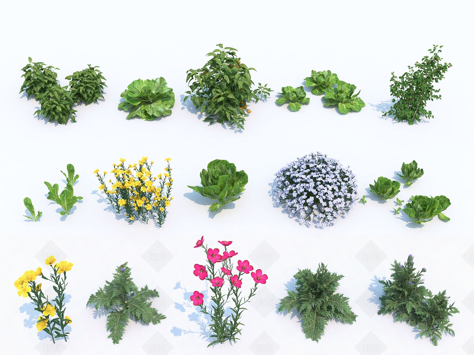 现代花草3D模型下载【ID:393227537】