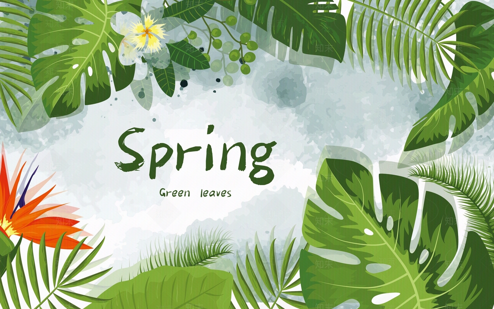 北欧植物叶子简约清新背景墙贴图下载【ID:493436235】