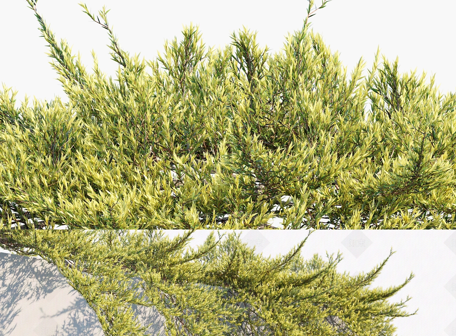 现代绿植墙3D模型下载【ID:493487297】