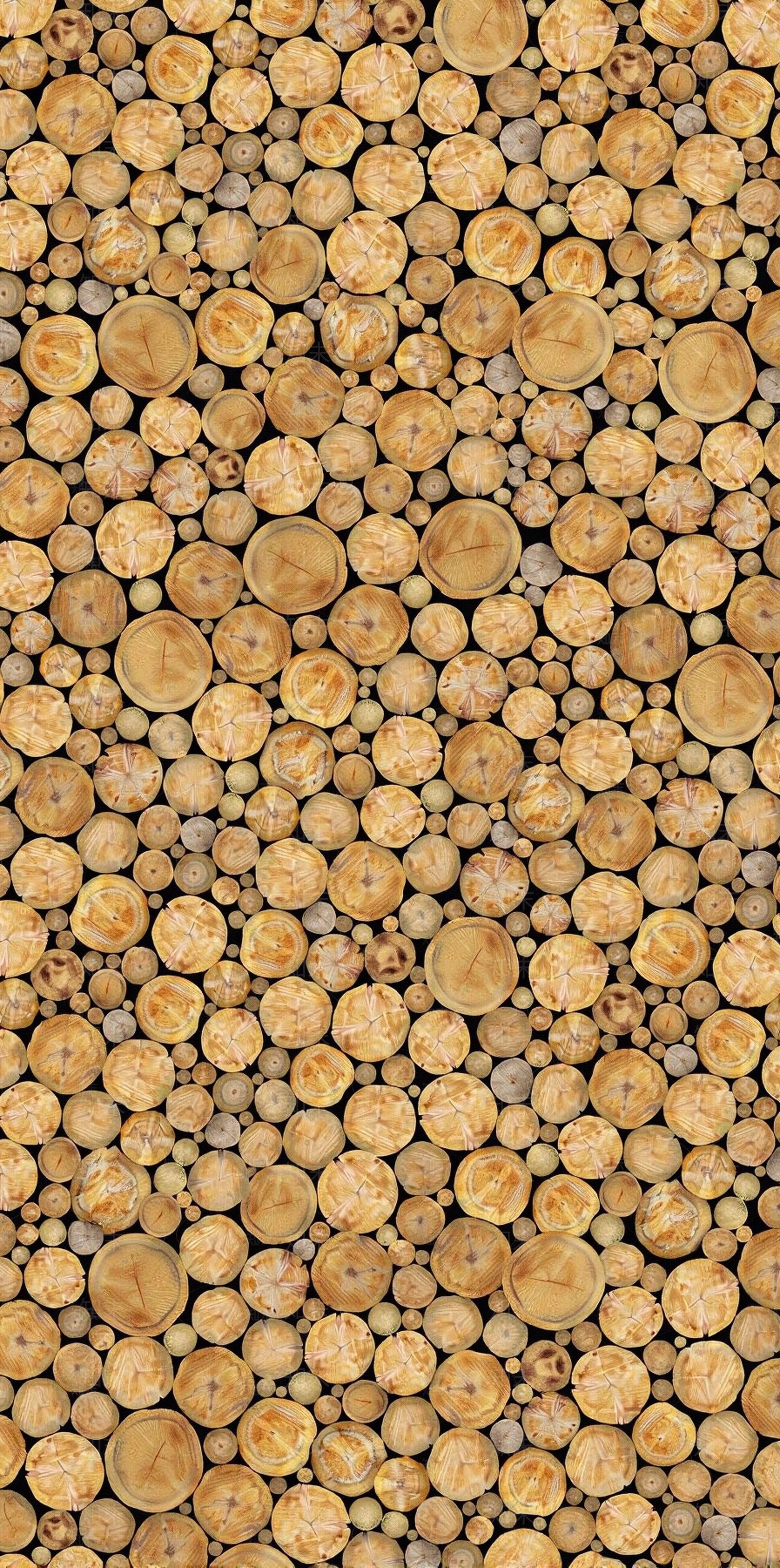 木纹横切面木桩贴图下载【ID:1195346486】