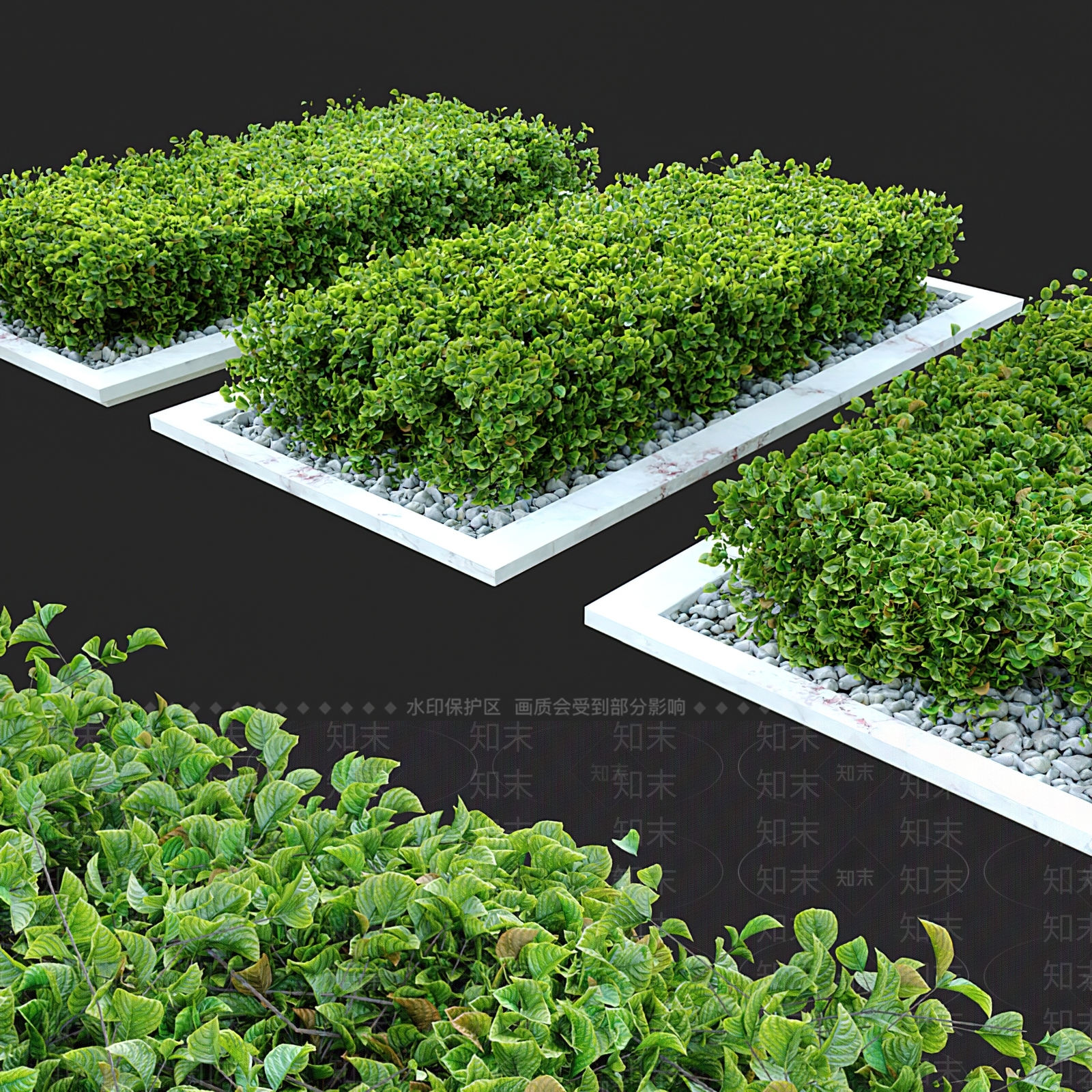 现代灌木花坛3D模型下载【ID:394165589】