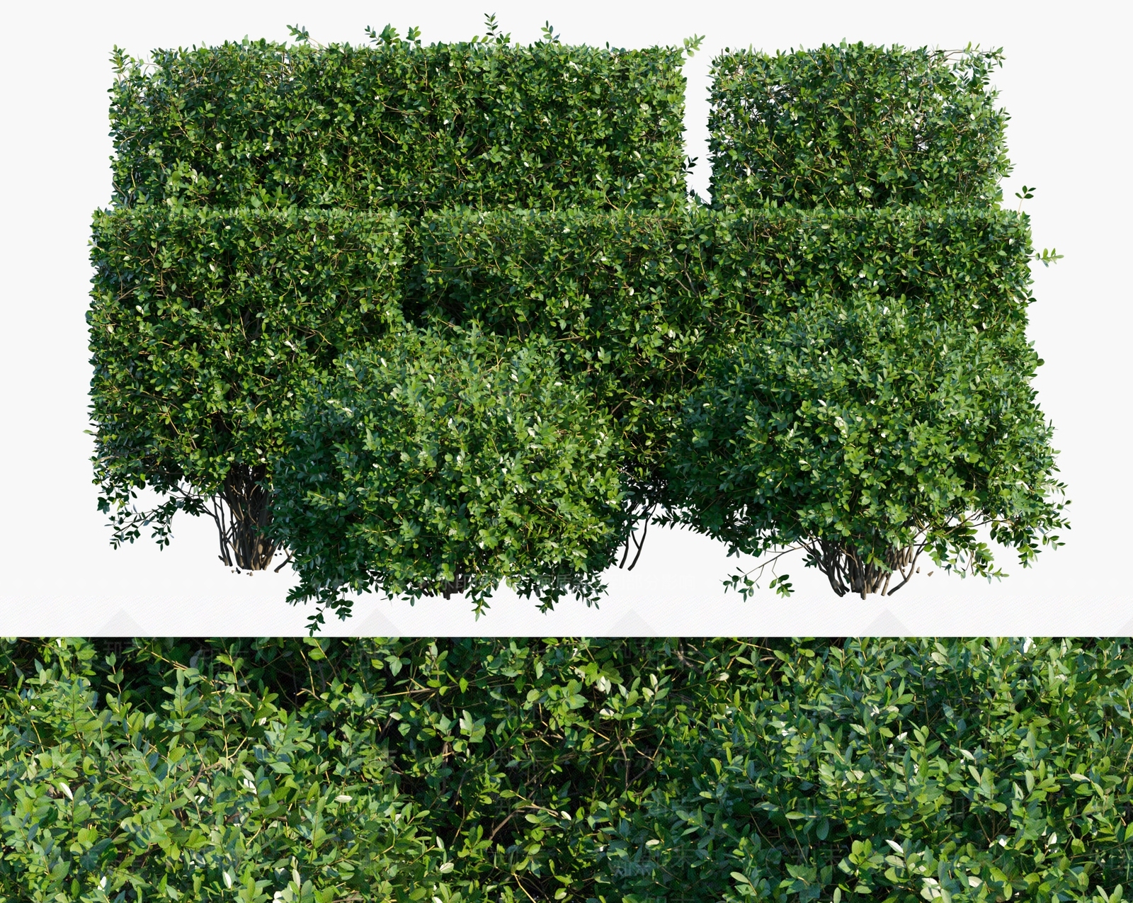 现代绿篱3D模型下载【ID:394266534】