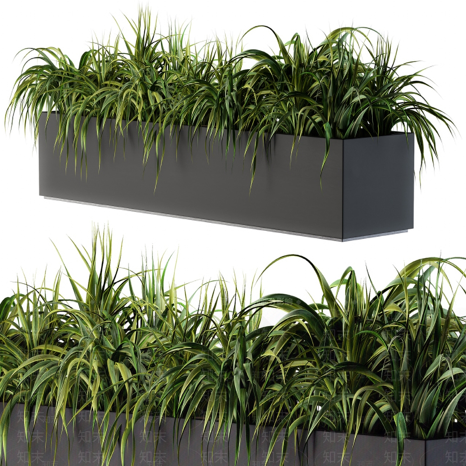 现代植物池3D模型下载【ID:394361866】