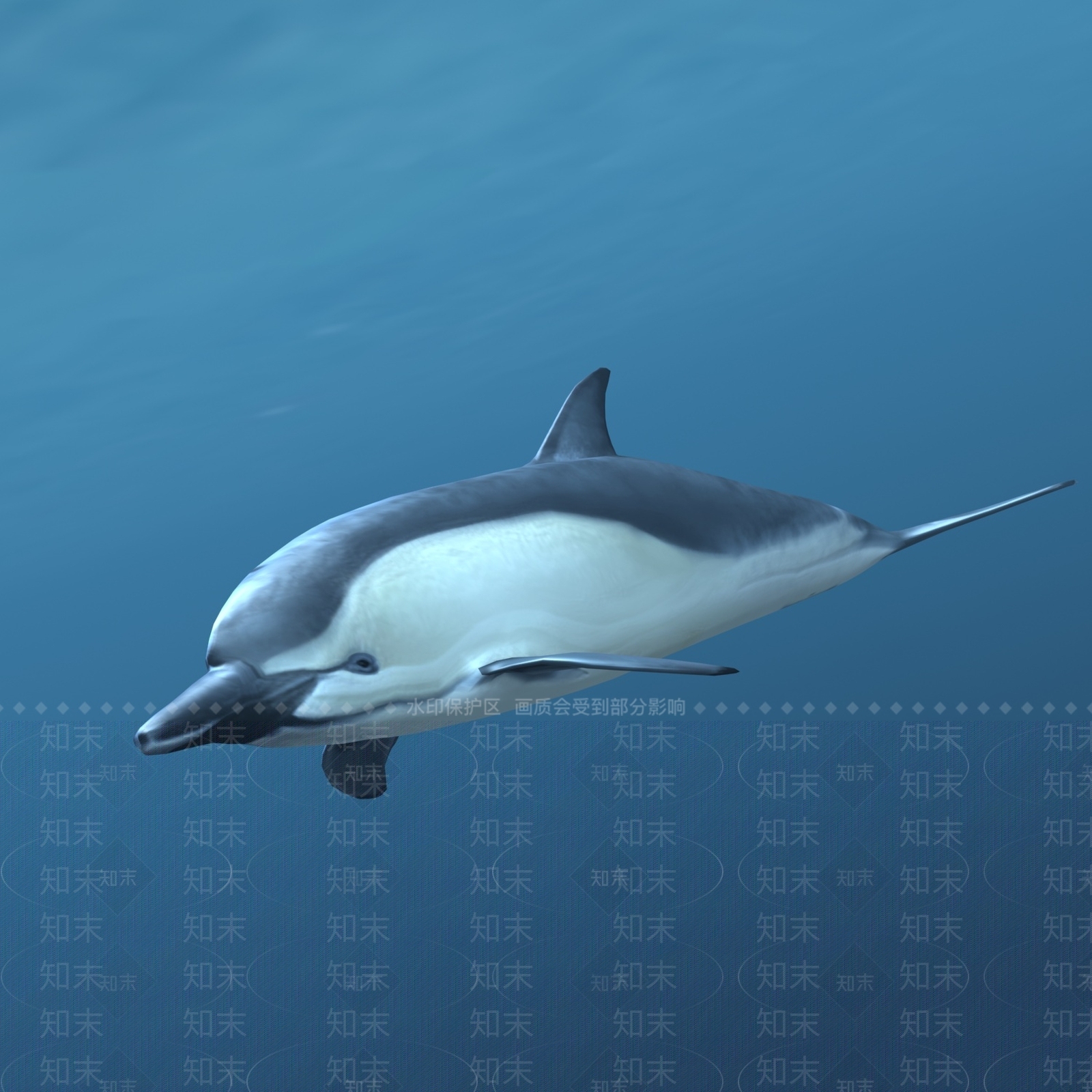 现代海豚3D模型下载【ID:694481112】