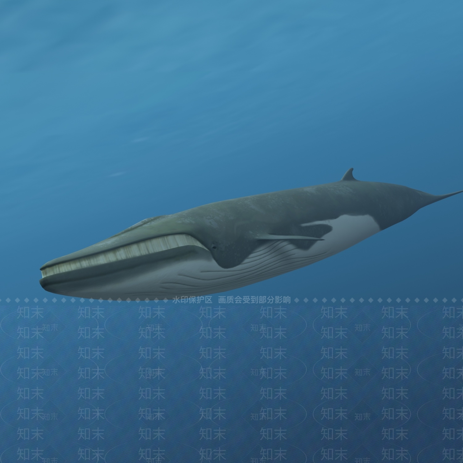 现代鲸鱼3D模型下载【ID:694481114】