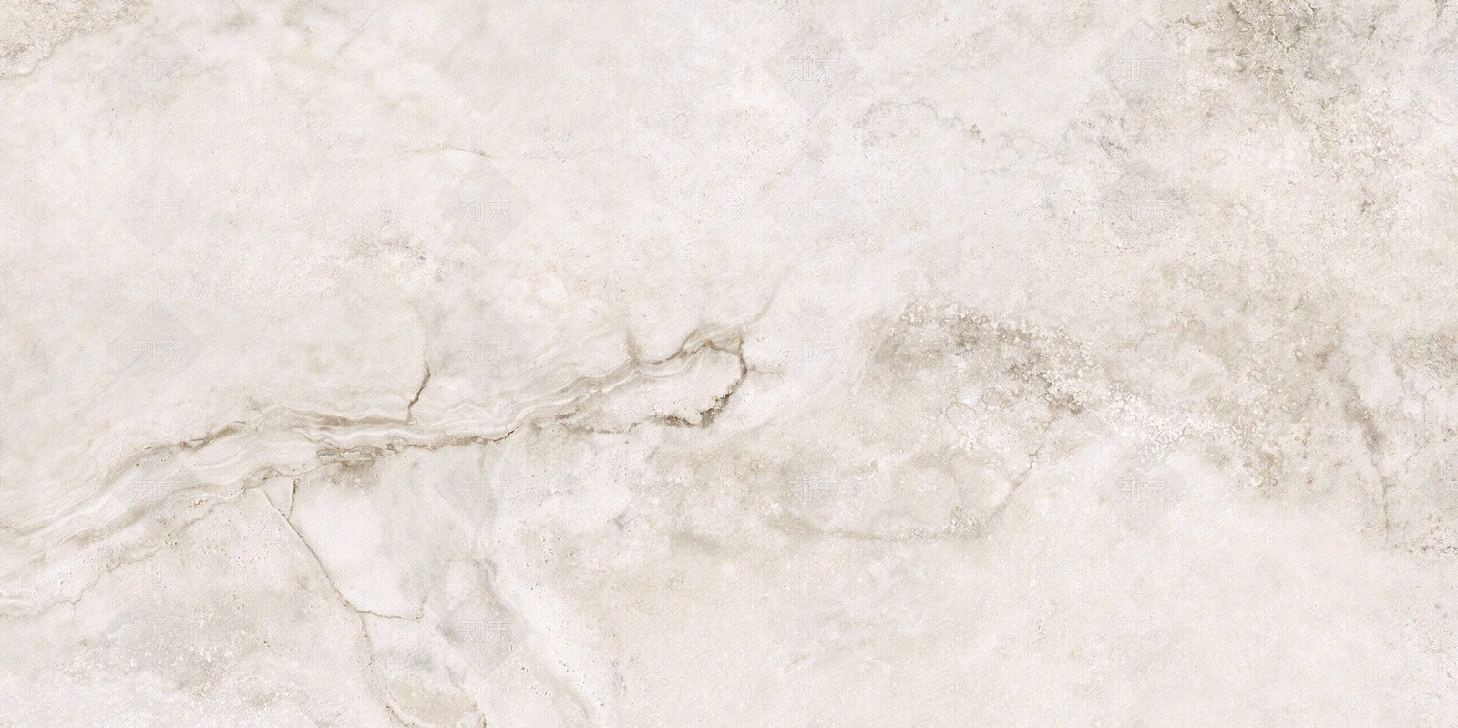 道格拉斯贴图下载【ID:394541242】