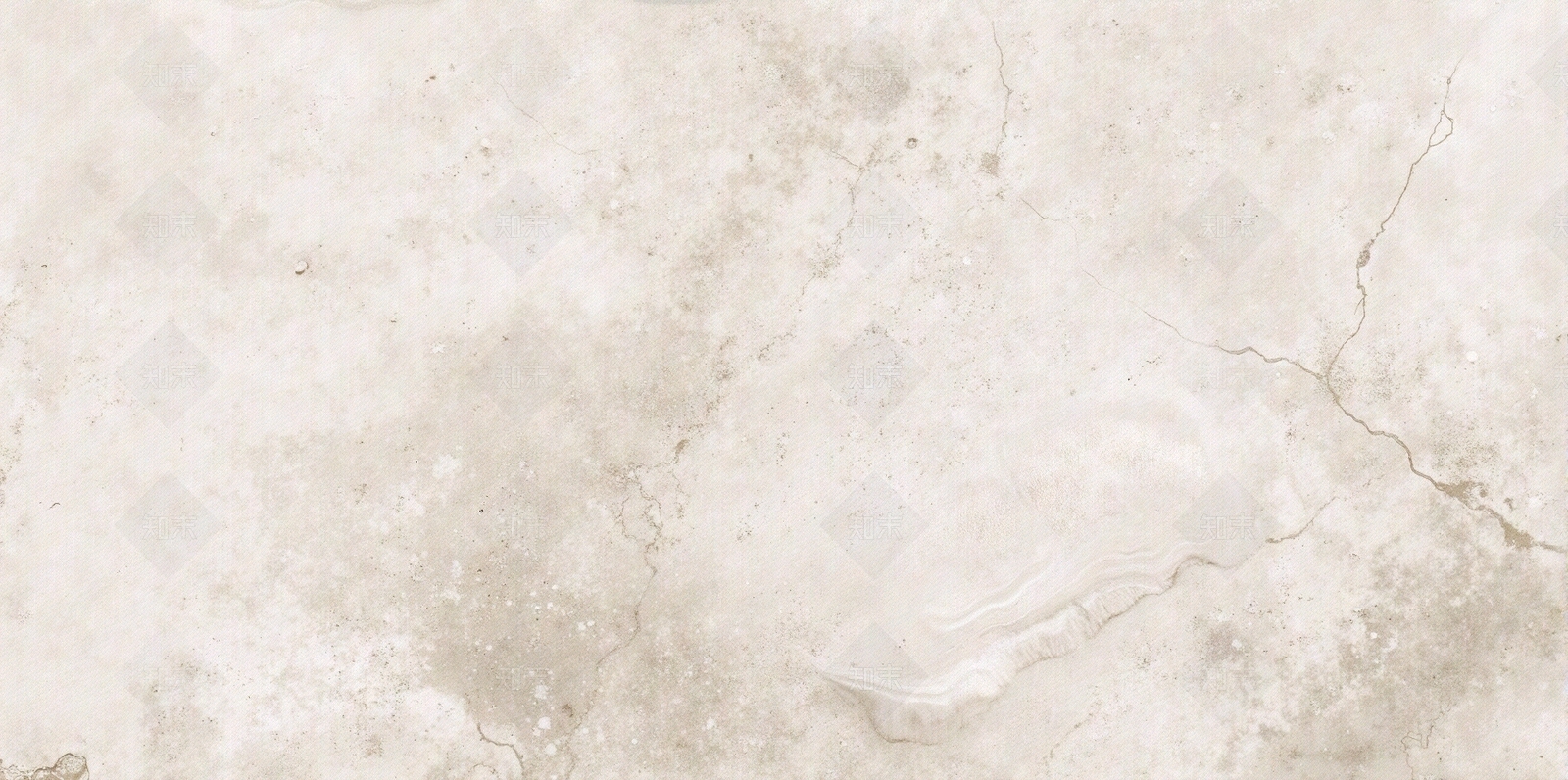 道格拉斯贴图下载【ID:1195315344】