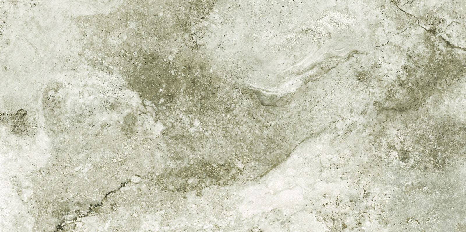 道格拉斯贴图下载【ID:1101729189】