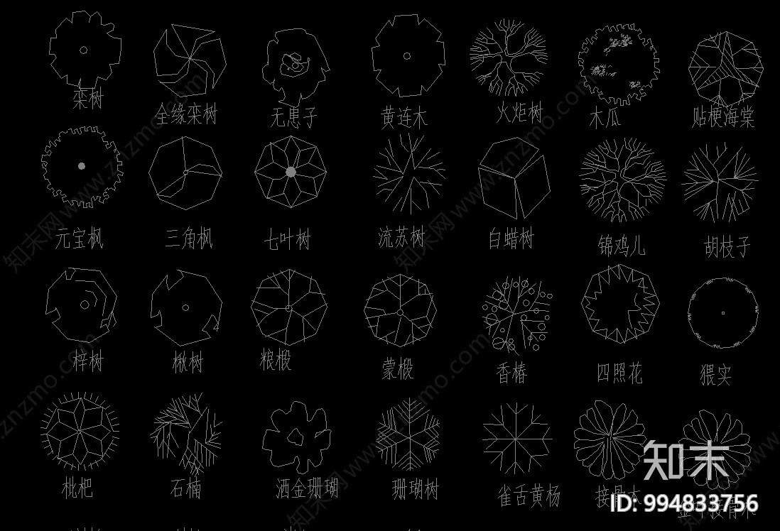 园林植物苗木施工图下载【ID:994833756】