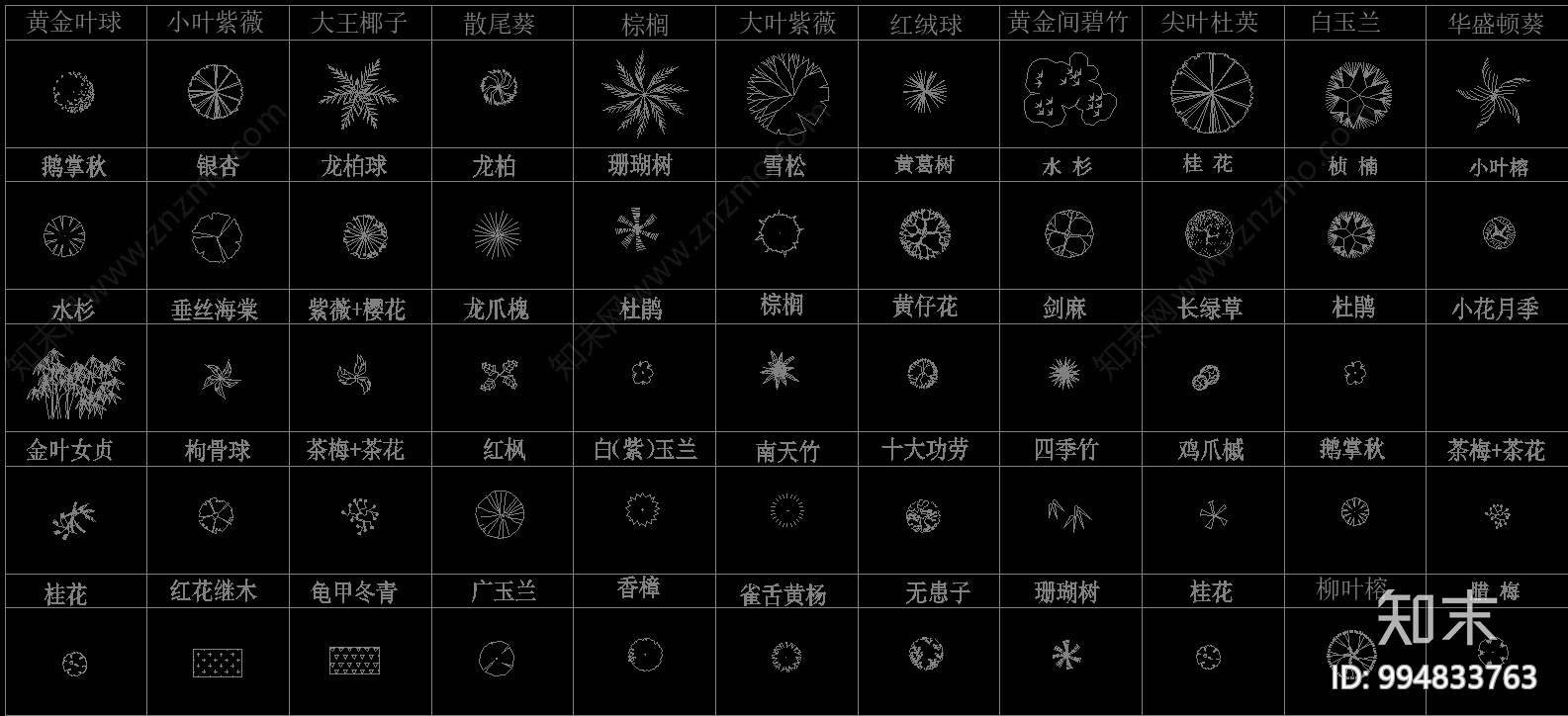 园林植物苗木施工图下载【ID:994833763】