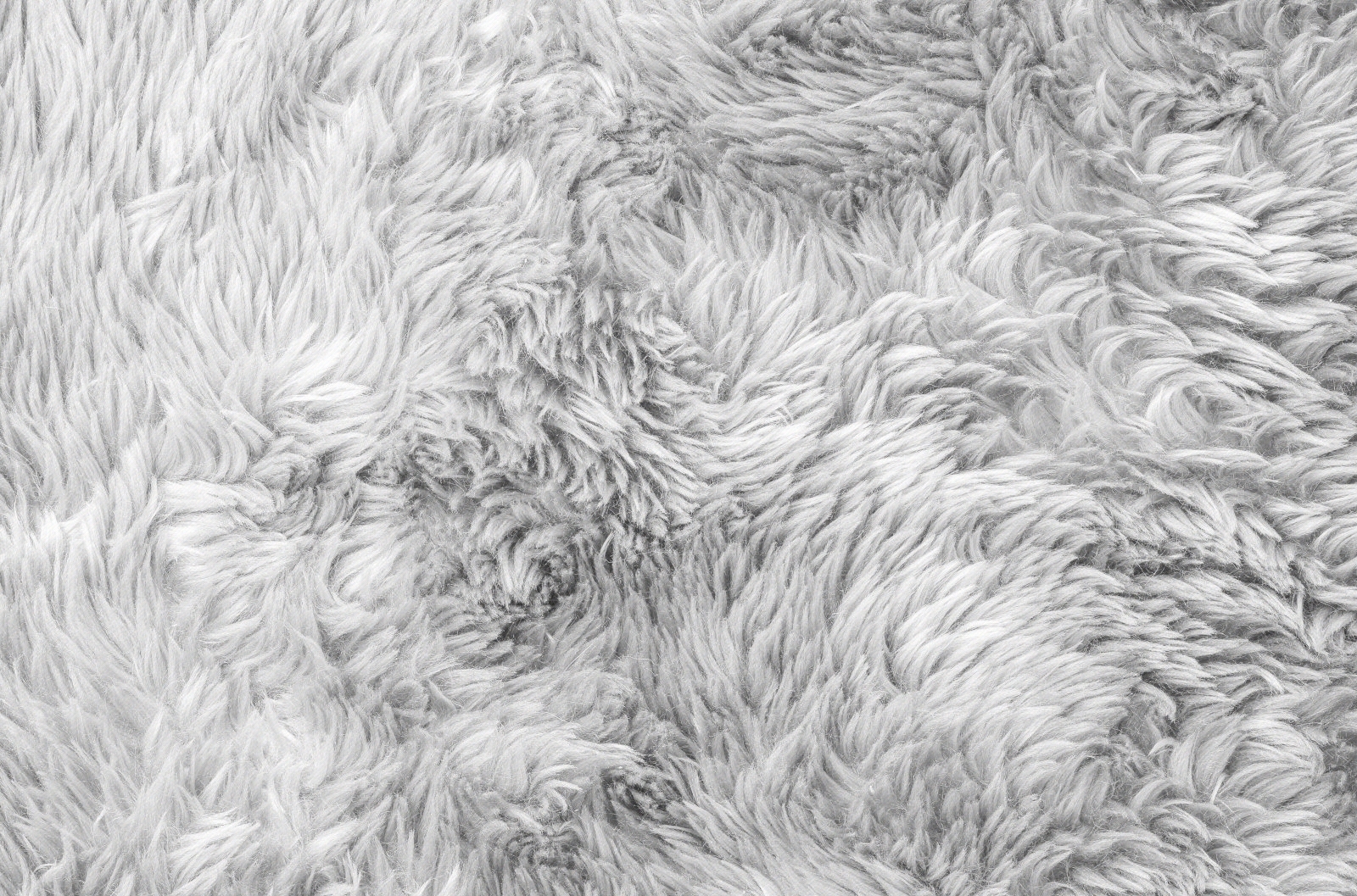 灰色毛绒地毯毛地毯贴图下载【ID:794851481】