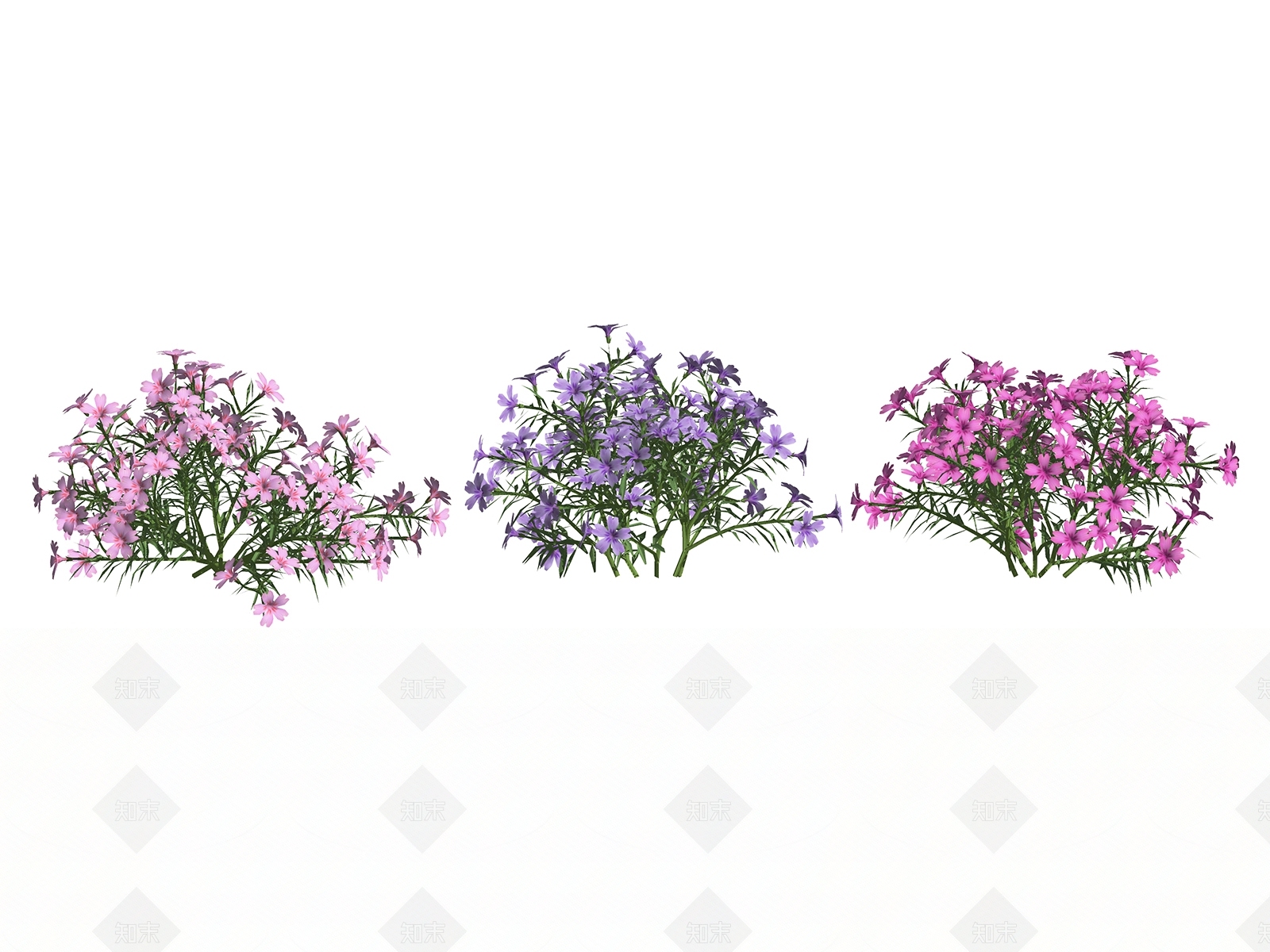 现代花草SU模型草图