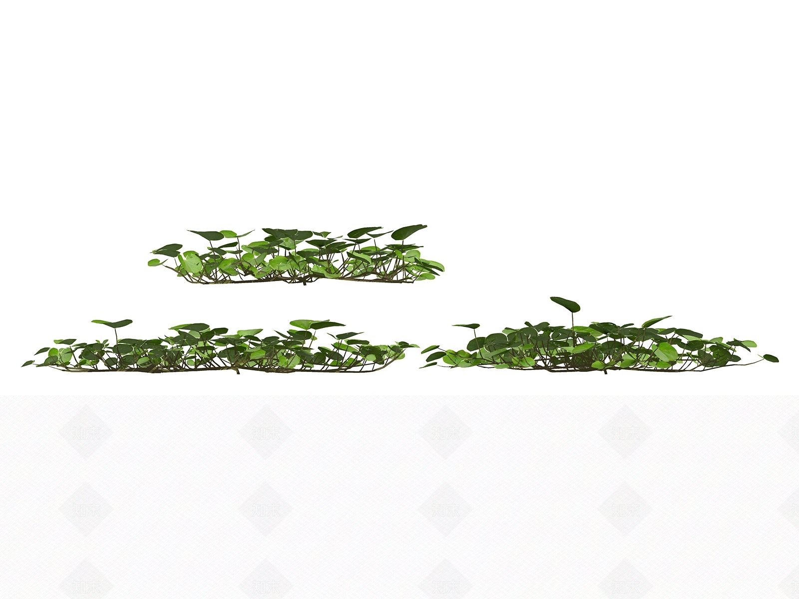 现代花草SU模型下载【ID:194988580】