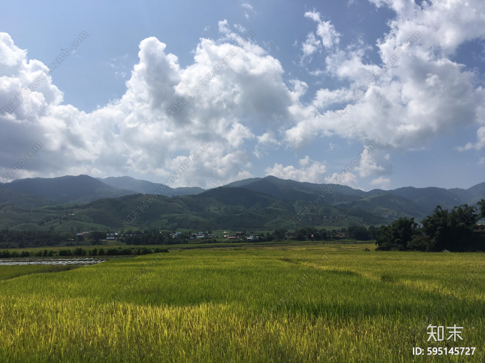 外景天空麦田贴图下载【ID:595145727】