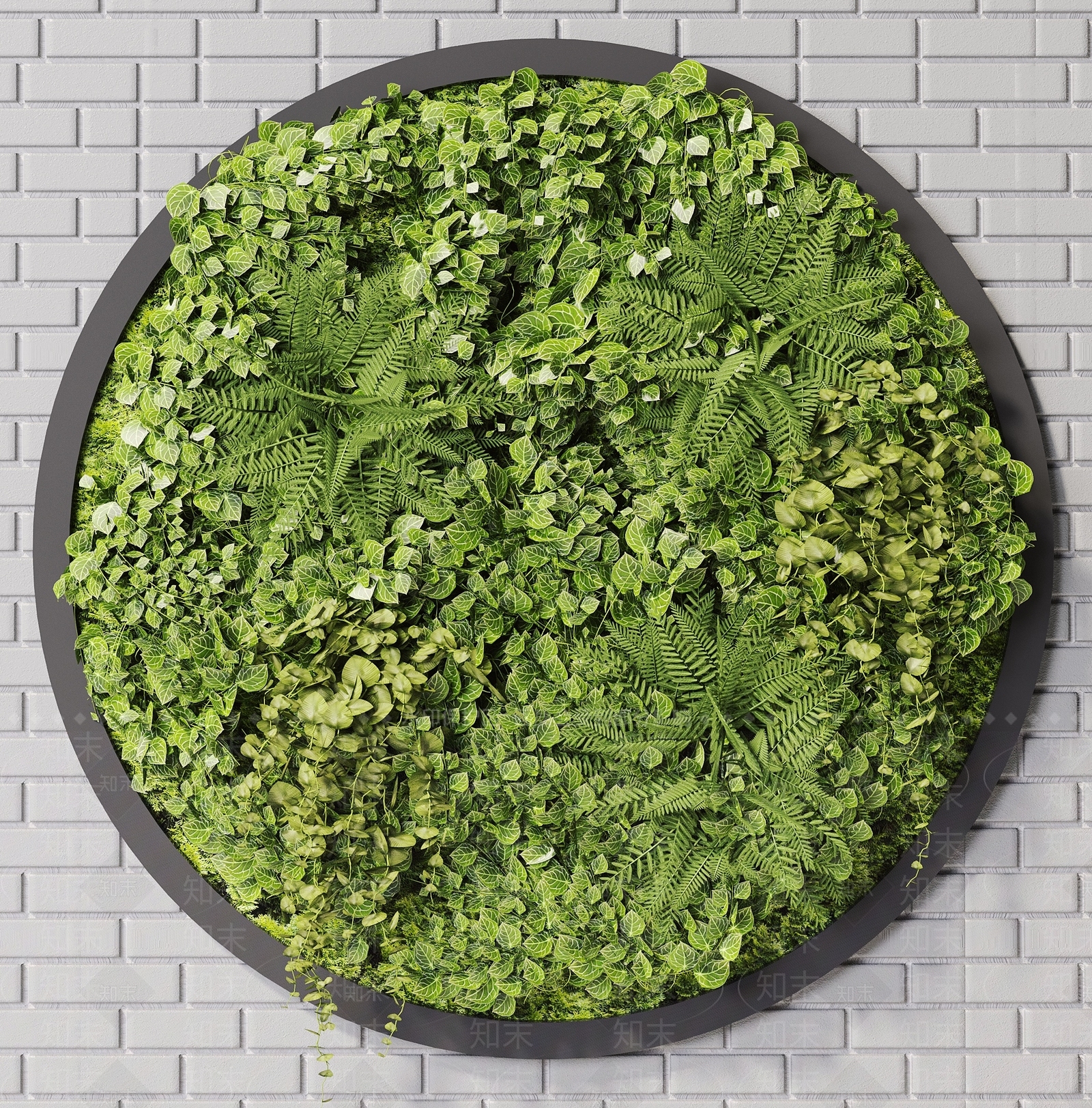 现代绿植墙3D模型下载【ID:495197207】