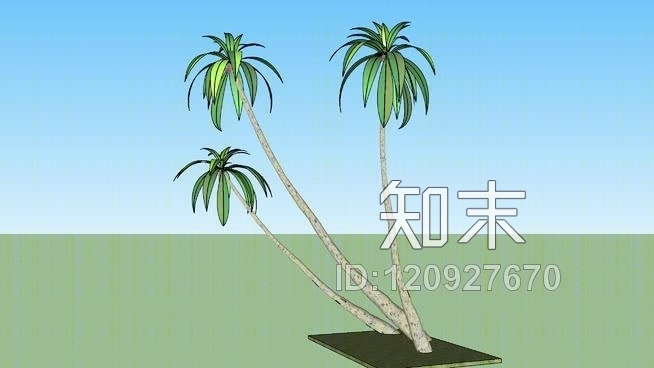 棕榈树SU模型下载【ID:120927670】