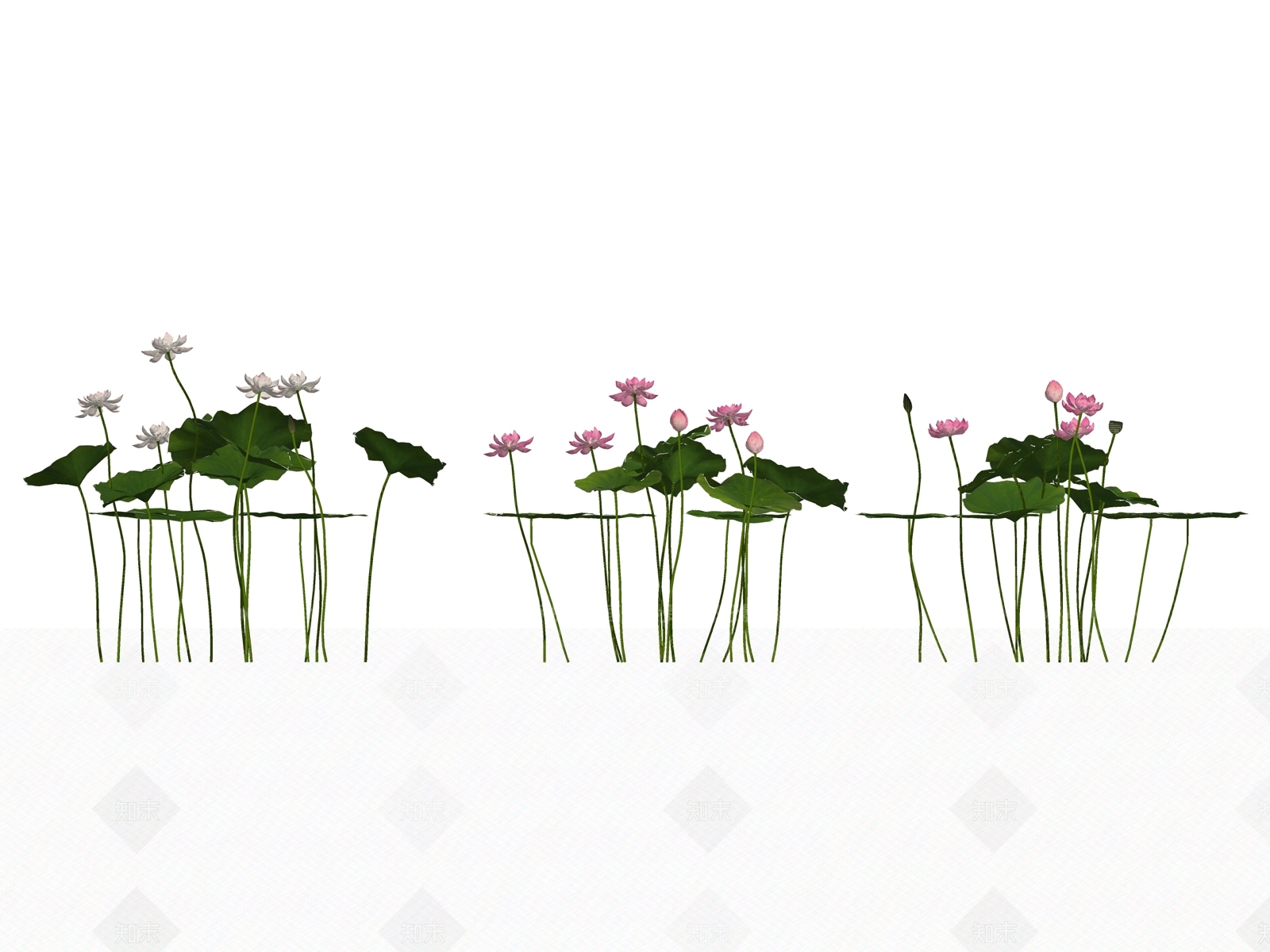 现代花SU模型下载【ID:195461574】
