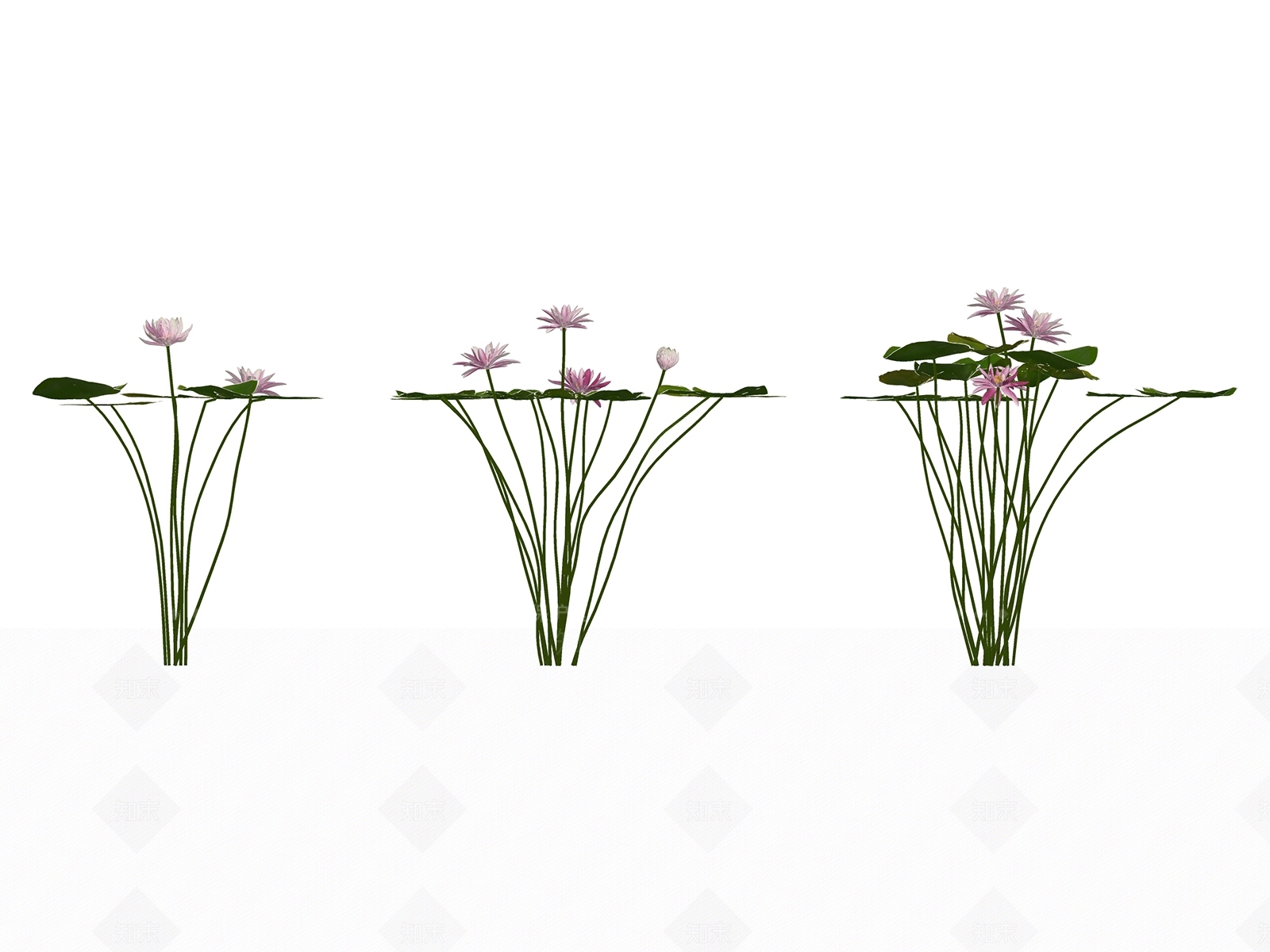 现代花SU模型下载【ID:195461577】