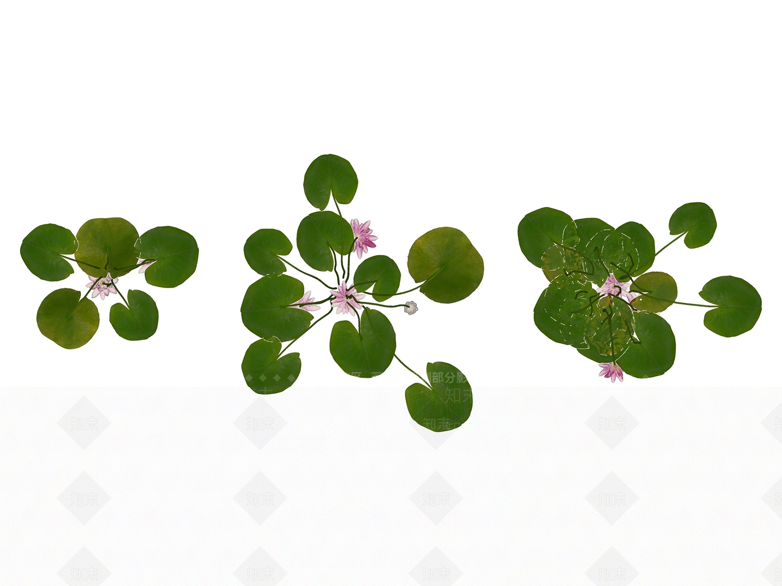 现代花SU模型下载【ID:195461577】