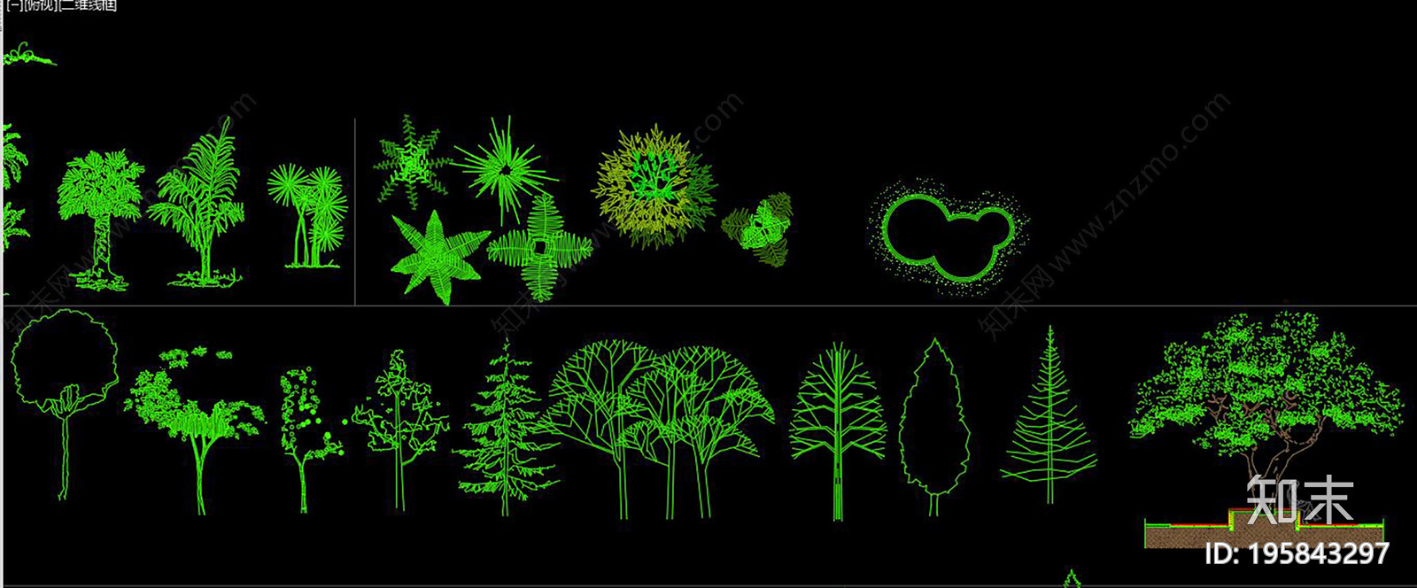 植物花草树木CAD图库cad施工图下载【ID:195843297】