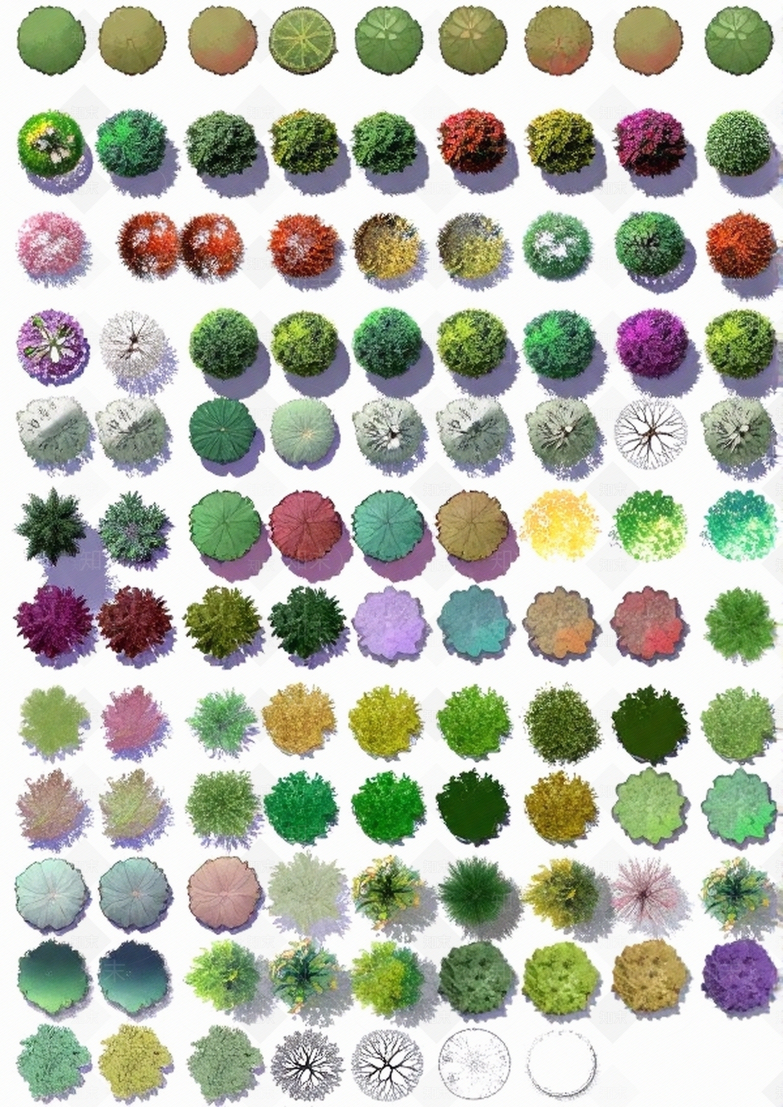 树木植物平面图贴图下载【ID:1195334070】