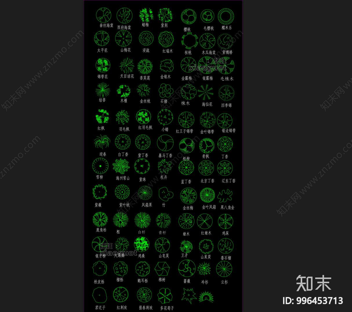 常用园林植物苗木图例集施工图下载【ID:996453713】