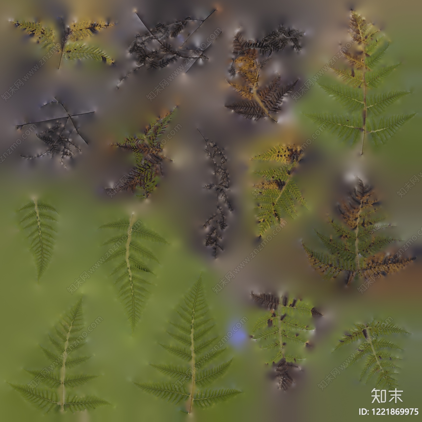 植物壁纸高清贴图材质