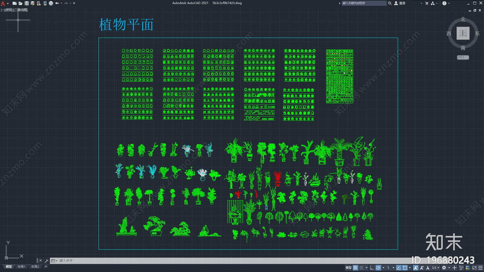 园林景观植物cad施工图下载【ID:196880243】